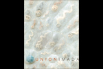 Catalogue [UNION – Junko Imada]  
2005, Castel Noarna
Curator : Antonio Cossu
Text : Valerio Deho`
48p, 20x24cm

